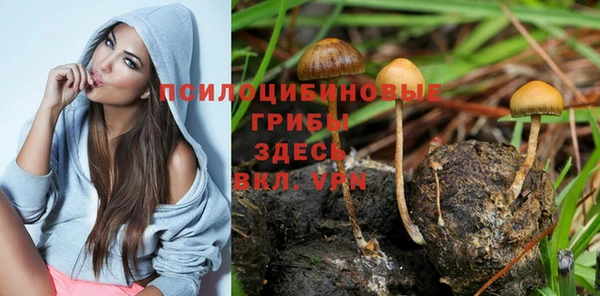 бошки Верхнеуральск