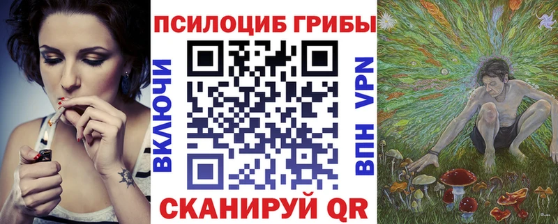 купить наркоту  Гай  Галлюциногенные грибы мицелий 